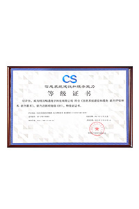 CS信息系统建设和服务能力