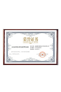 山东省技术先进型企业证书